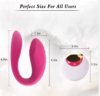 Vibreur Télécommandé à Porter Oasis Intime Duo - 5 Modes, Discrétion et Jeu en Couple